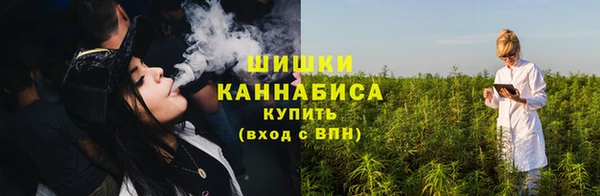 хмурый Абаза