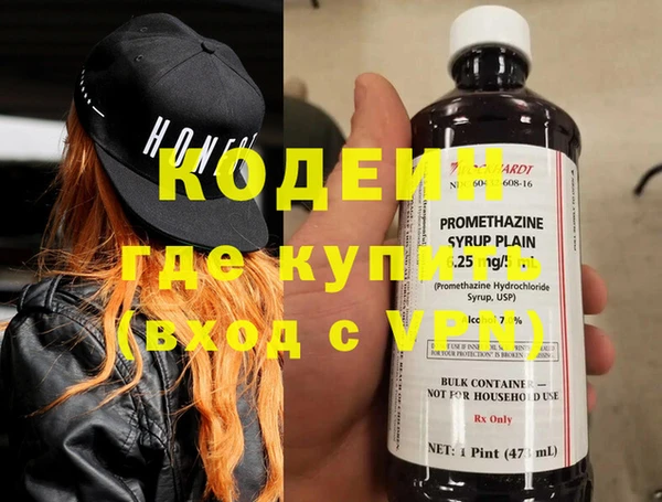 хмурый Абаза
