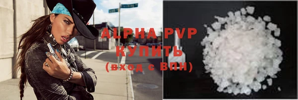 хмурый Абаза