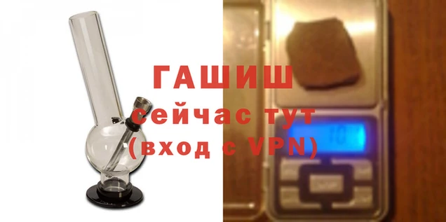 хмурый Абаза