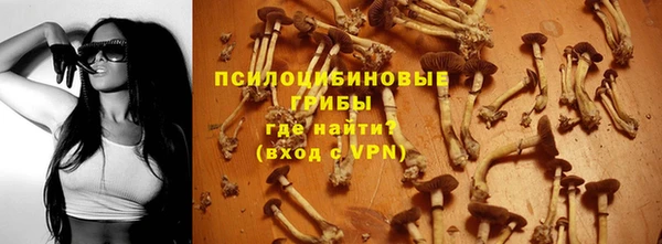 хмурый Абаза