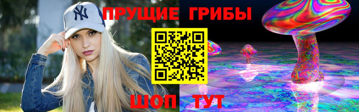 Норильск  Галлюциногенные грибы Psilocybine cubensis  Вход с VPN 