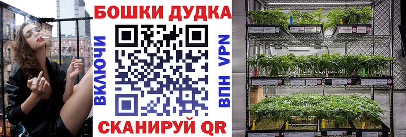 Каннабис планчик  как найти наркотики  Норильск 